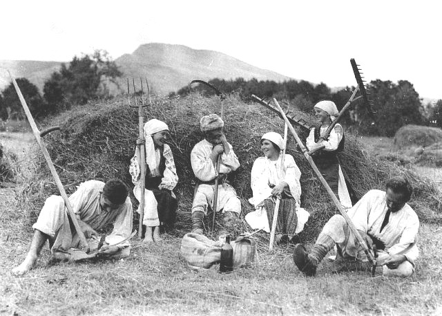 
            La fenaison, la récolte du foin