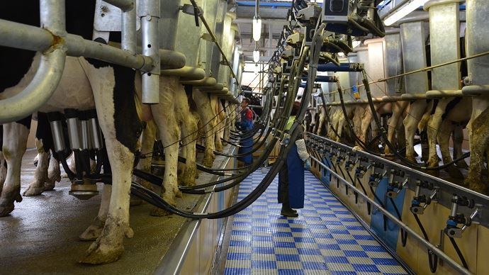
          L'impact variable du ralentissement des exportations selon les laiteries 
