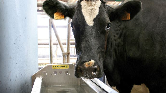 
          Nouveautés pour hydrater le troupeau en toute sécurité: Des protections intégrées