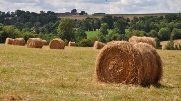 
           Vendez du foin ou louez vos pâtures aux propriétaires de chevaux
