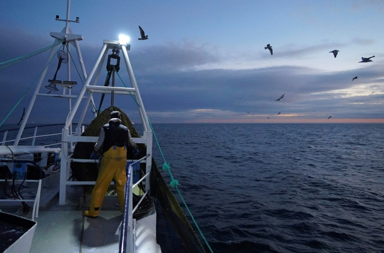 
          La consommation de poissons continue à augmenter mais plus lentement