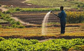 
           Vous voulez exporter des produits alimentaires au Sénégal ? L'USDA vous livre des pistes 