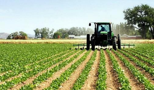
           Vous voulez exporter des produits alimentaires au Sénégal ? les pistes sont connus L'USDA vous livre des pistes