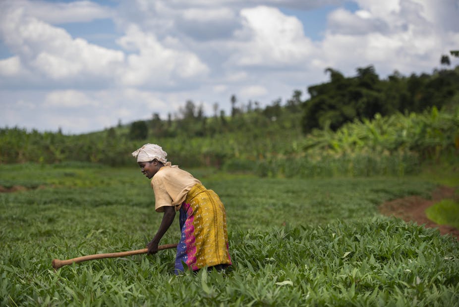 
           L’USDA vous donne des pistes pour l’exportation des produits alimentaires : Les classes aisées modifient la donne au Sénégal 