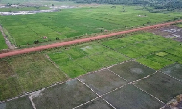 
           Une première au Togo : Implantation d’Agropoles dans les bassins de l’Oti et du Haut-Mono, un consultant recherché