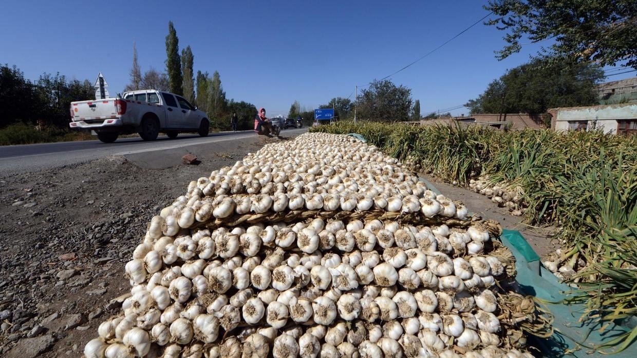 
          Impact du corona virus sur certaine production : La baisse des prix de l’ail  
