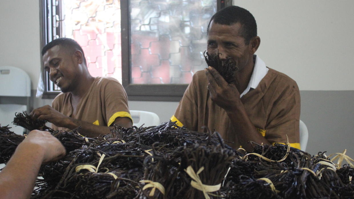 
           Baisse des prix de la vanille en Madagascar