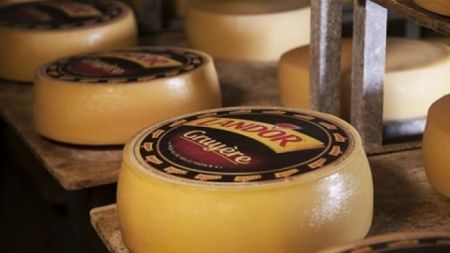 
           Le groupe tunisien Land’Or veut créer une usine spécialisée dans la production du fromage à Kenitra