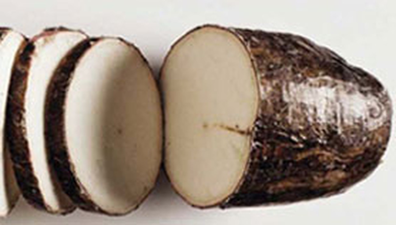 
          Variétés adaptées à la production biologique du manioc