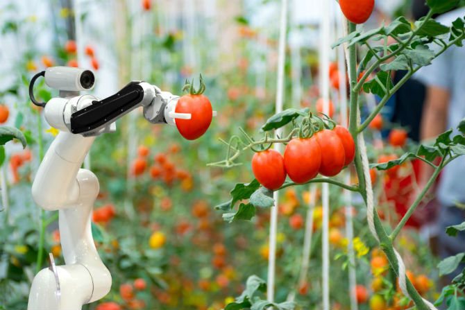 
          Promouvoir l’agriculture : 2,7 milliards de dollar sont investis dans l’Agtech
