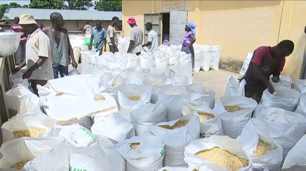 
           Togo : L’Agence Nationale de la Sécurité Alimentaire (ANSAT) ouvre ses portes pour alimenter la population à cause de la pandémie