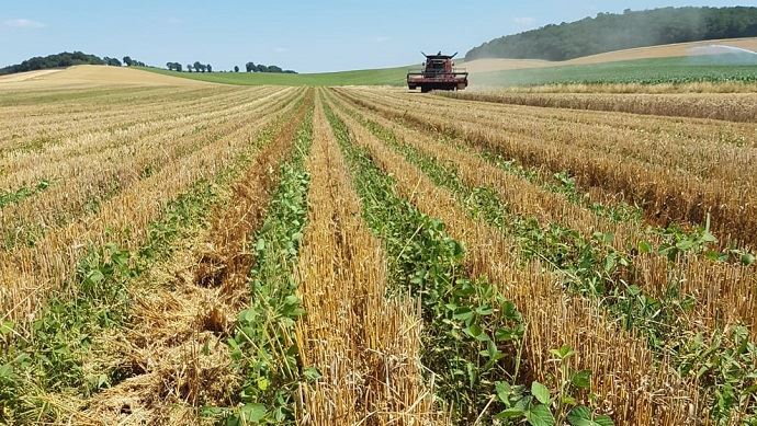 
          Relay-cropping