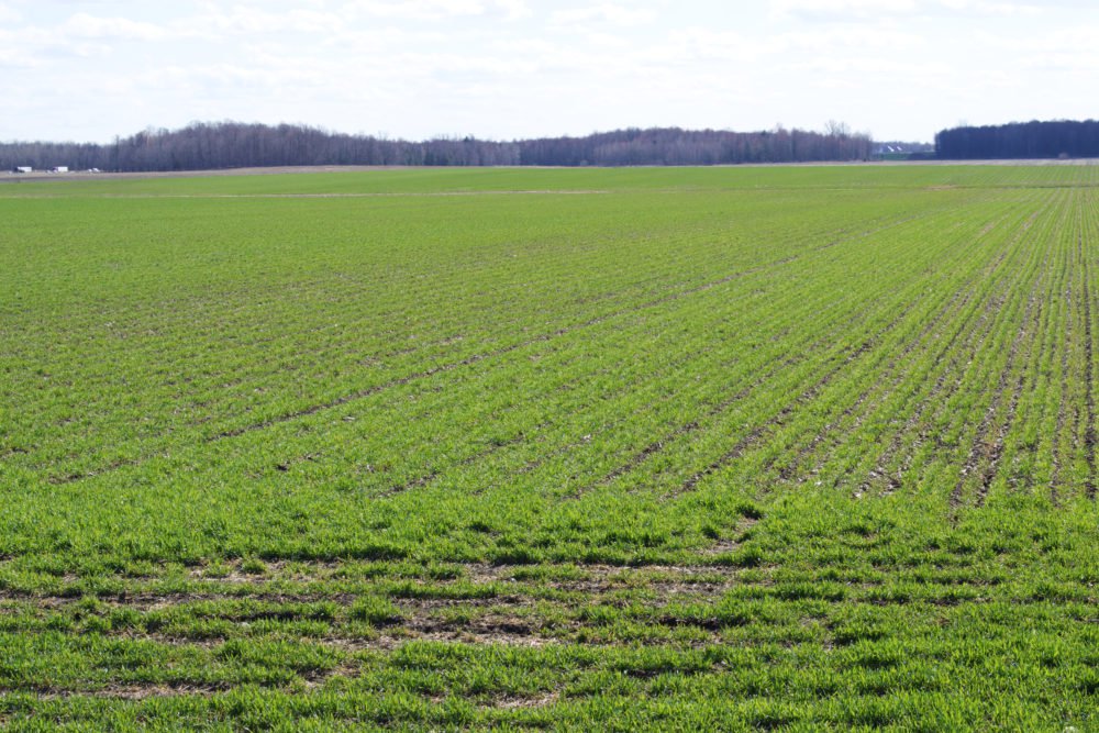 
          Agriculture bio