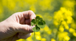 
          Agriculture bio