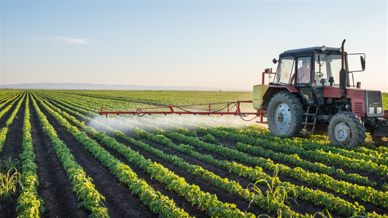 
          Agriculture biologique