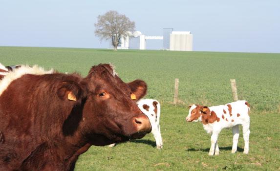 
          Agriculture biologique
