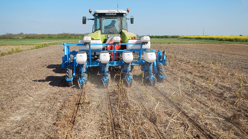 
           Strip-till 