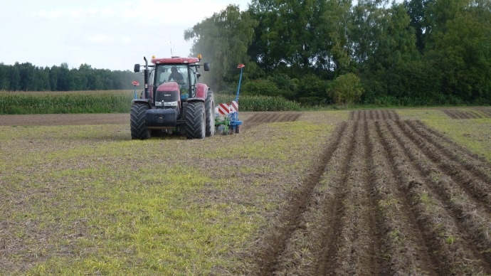
           Travail du sol et implantation des cultures du colza : Adaptation
