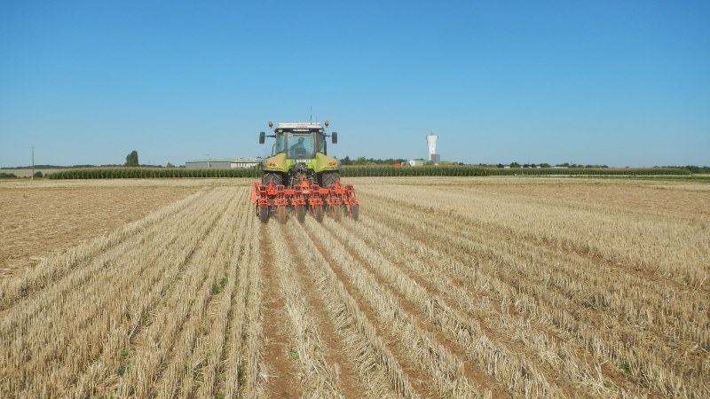 
           Implantation : choix du couvert associé et date de semis de colza 