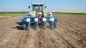 
          Quel type de travail avant le semis colza lors du passage du strip-till?