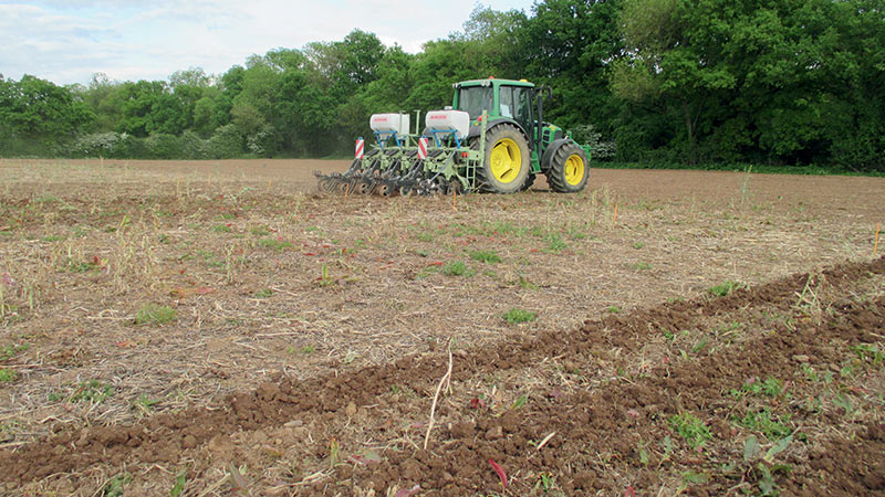 
          Semis et travail du sol en un seul passage du strip-till