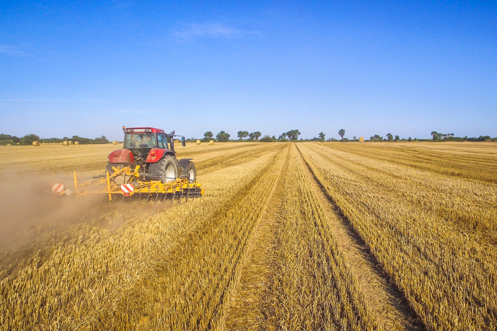 
          Le Turbomulch : Une source d’économies lors d’un faux-semis colza