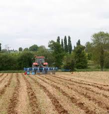 
           Les résultats agronomiques que donne le strip-till sur le colza
