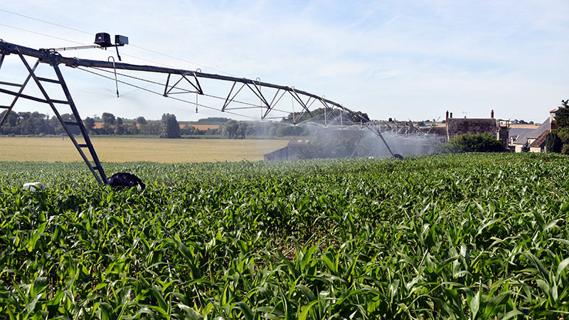 
          Irrigation : Les besoins de la culture de maïs