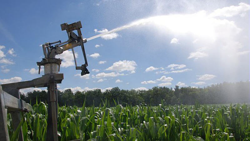 
          Le déclenchement de l’irrigation sur culture de maïs 