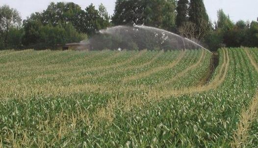 
          Irrigation : En volume limitant pour la culture de maïs 