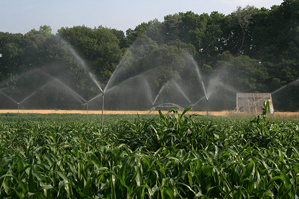 
           Le point de vue d’un agriculteur qui pratique l’irrigation par exemple dans la culture de maïs 
