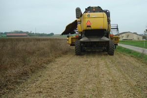 
          Période de récolte du soja : automne très humide
