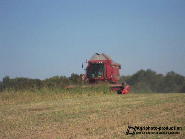 
          Machine pour moisson soja : moissonneuse Case IH Axial Flow 2388
