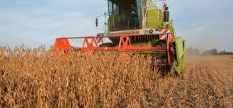 
           Réglage de la vitesse d'avancement de la moissonneuse-batteuse pour optimiser la performance du chantier de récolte du soja