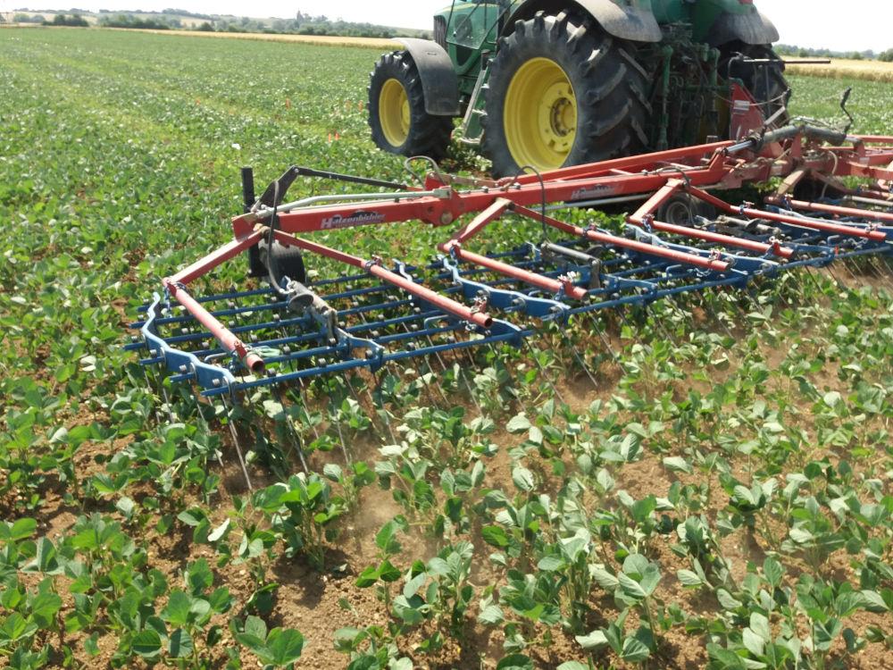 
           Les réglages d’outils sont également essentiels pour préserver le soja et détruire un maximum de mauvaises herbes