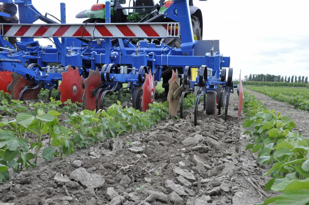 
          Bineuse : Réglages de la machine pour préserver le soja et détruire un maximum de mauvaises herbes