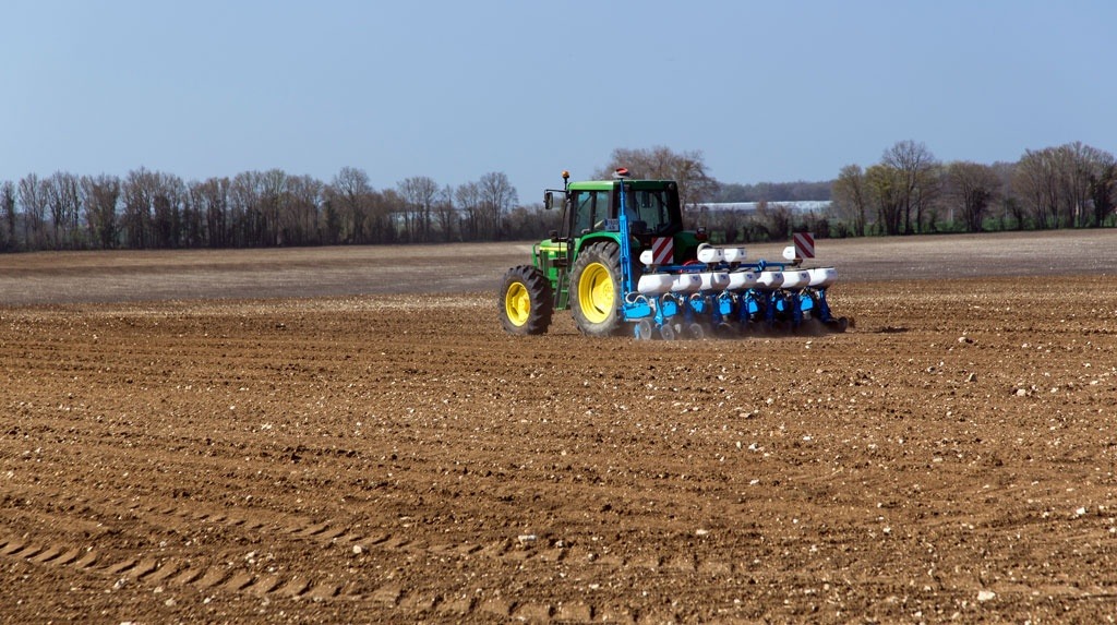 
          Préférer un semis précoce du tournesol