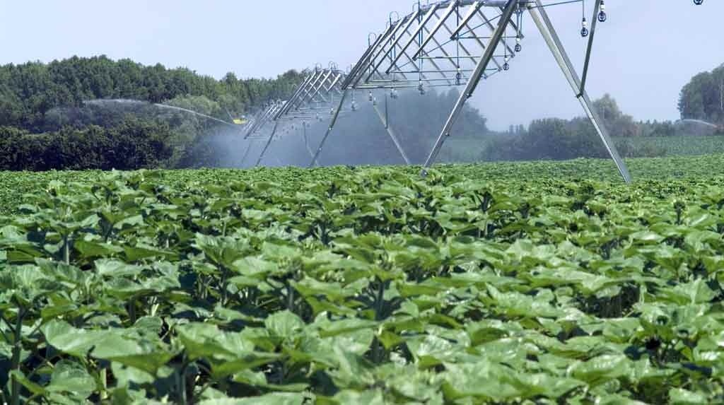 
            Les moments propices pour irriguer afin de voir une bonne culture du tournesol aux différentes régions de production