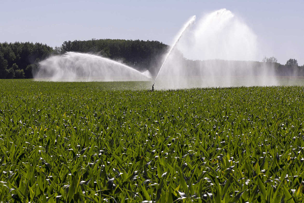 
          Le débit d’irrigation nécessaire dans nos parcelles pour optimiser la production du maïs 