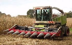 
          L’action de la moissonneuse-batteuse peut nuire à la qualité du grain de maïs 