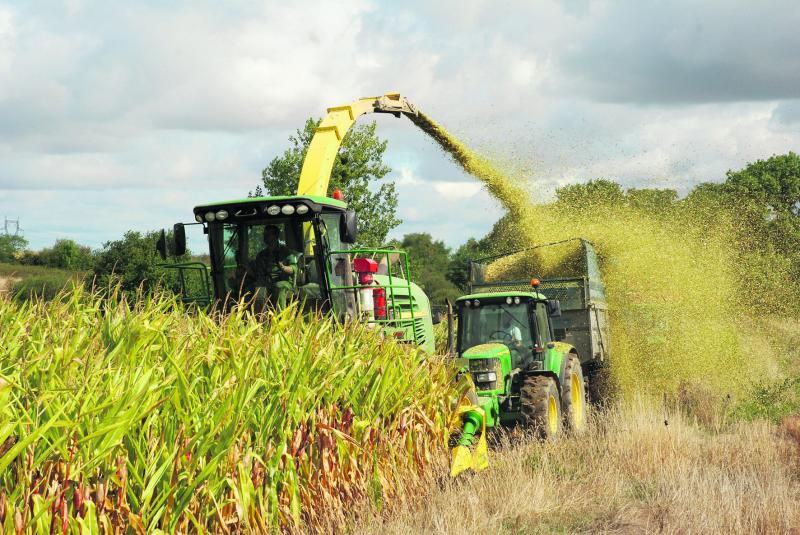 
          Quelques trucs pour bien réussir sa récolte d’ensilage de maïs