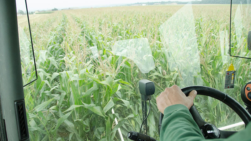 
          Ajuster les réglages à la variété pour une bonne qualité du grain de maïs