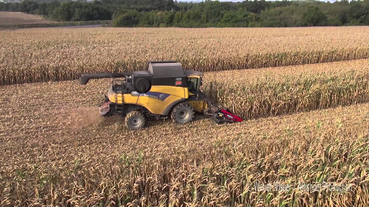 
          Pour une récolte réussie qui n’est pas susceptible de compromettre le stockage et la conservation du maïs il est recommandé d’observer les pratiques suivantes  