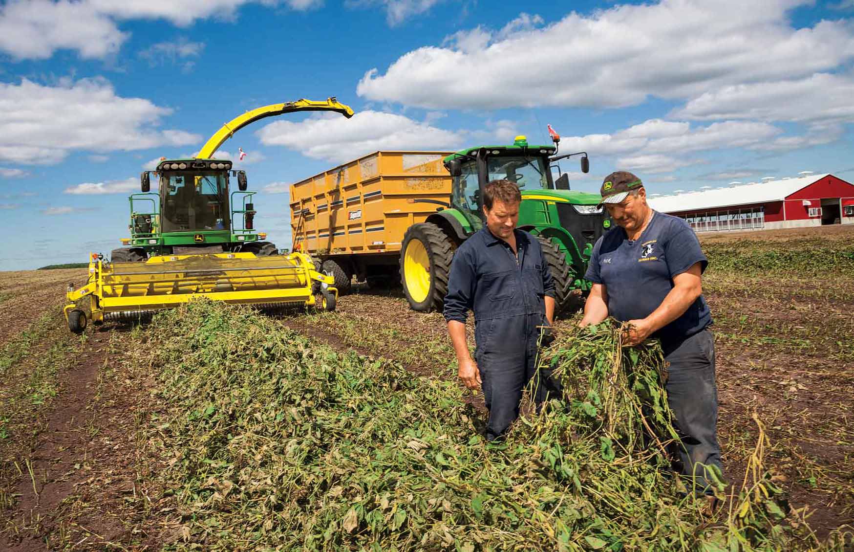 
          Récolter toutes les gousses : Soja fauché trop haut (avancement rapide au démarrage sans attendre que la barre de coupe de moissonneuse soit complètement descendue)
