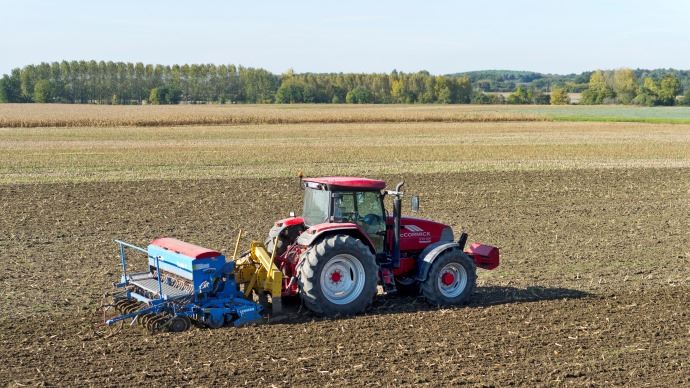 
          Céréales d’hiver : leur importance et leur définition 