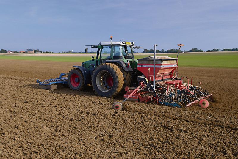 
          Supprimer, au moindre coût, la concurrence des mauvaises herbes les plus nuisibles au rendement et à la qualité de grain du blé dur  