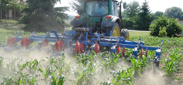 
           Conseil à maîtriser lors du décalage de la date de semis maïs 
