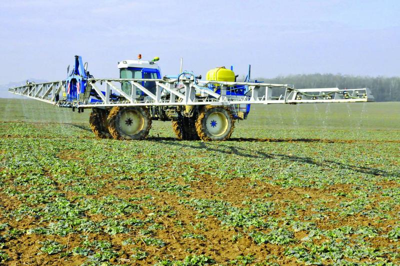 
          Le colza démarre son prélèvement dès l’automne 