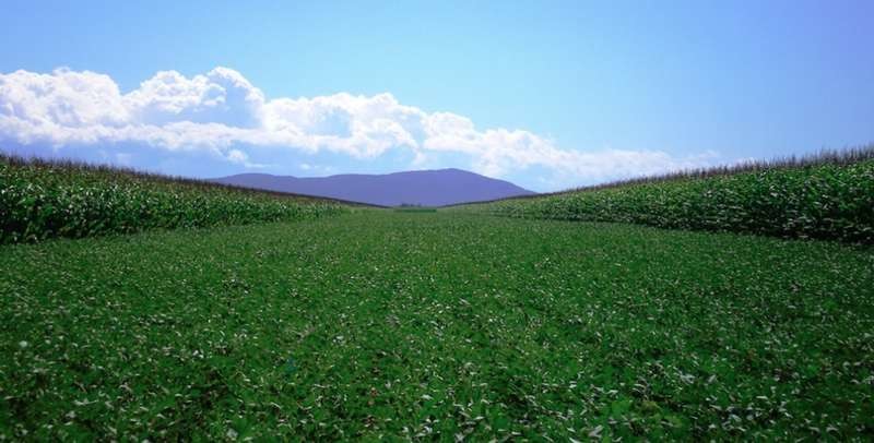 
          Quels sont les objectifs et les stratégies de la coopérative en fourniture des intrants ?   