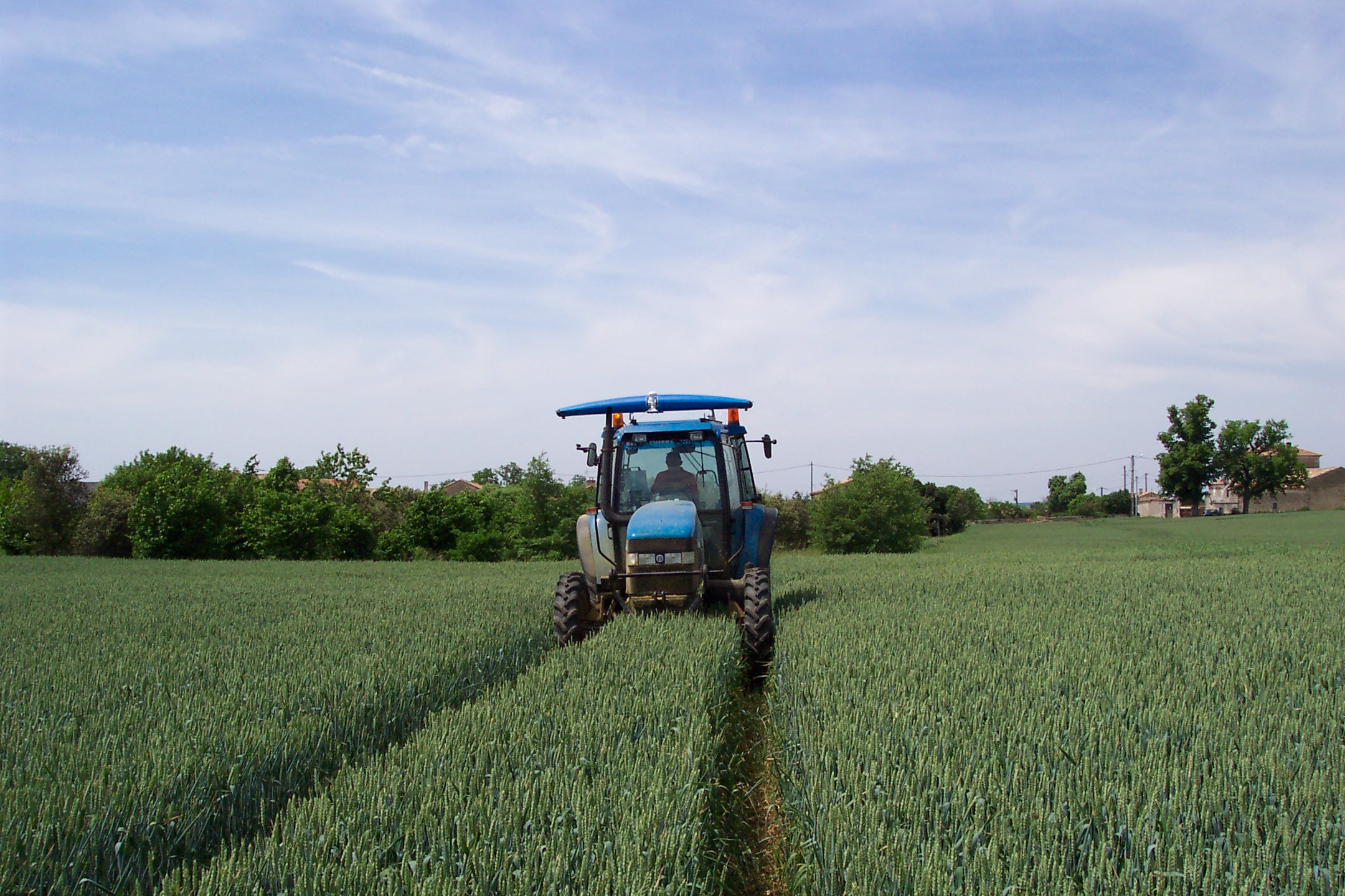 
           Utiliser des engrais organiques azotés « utilisables en agriculture biologique »